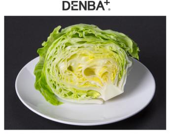 DENBA binno 水分子活化